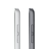 iPad 10.2 Wifi 256GB Argent Rénové