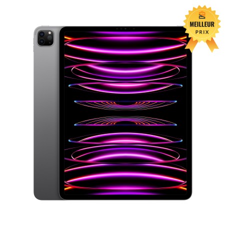iPad Pro 12.9 Wifi 1TB Gris