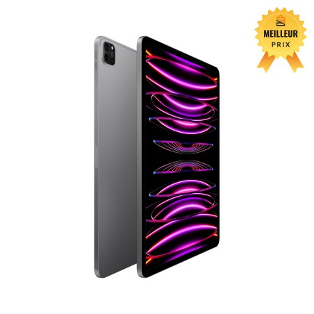 iPad Pro 12.9 Wifi 1TB Gris