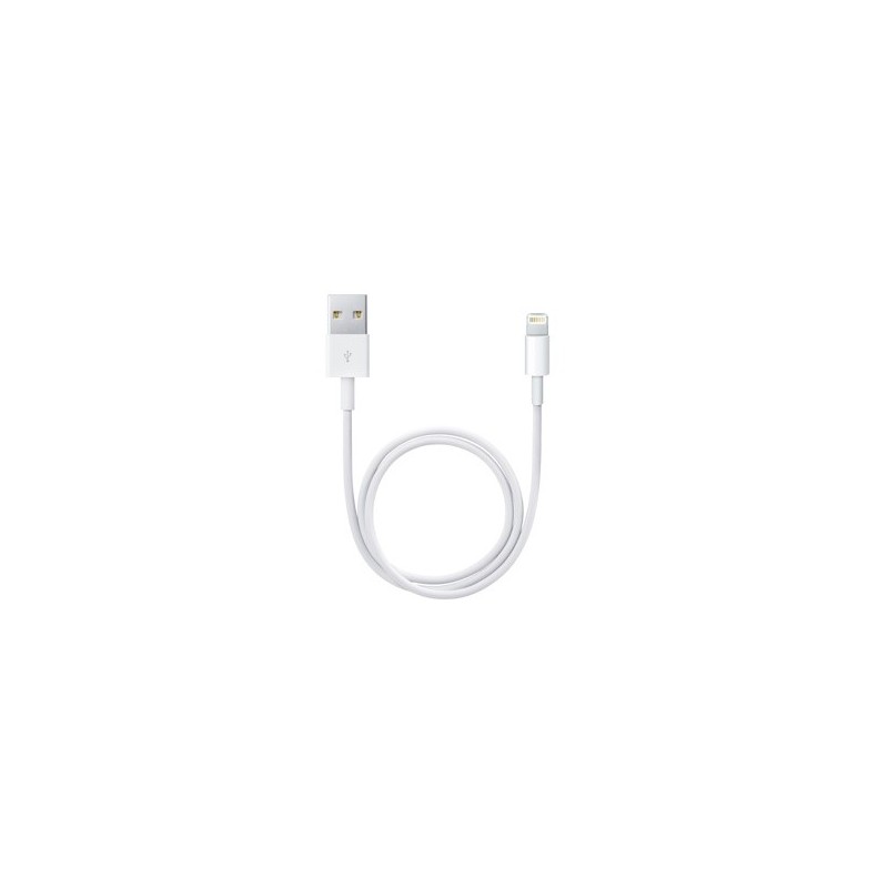 Achetez Lightning USB Câble 0.5 m chez Apple pas cher|i❤ShopDutyFree.fr