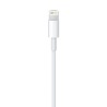 Achetez LightningUSB Câble 2 m chez Apple pas cher|i❤ShopDutyFree.fr