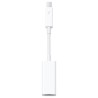 Achetez Ethernet Thunderbolt Gigabit Adaptateur chez Apple pas cher|i❤ShopDutyFree.fr