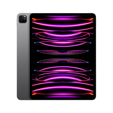 🤑 Soldes iPad Pro 12.9 Wifi 1TB Gris 