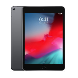 🤑 Soldes iPad Mini Wifi 256GB Gris 