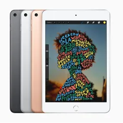 🤑 Soldes iPad Mini Wifi 256GB Gris  3