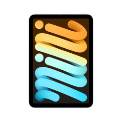 iPad mini WiFi Cell 256GB Bleu | ShopDutyFree.fr