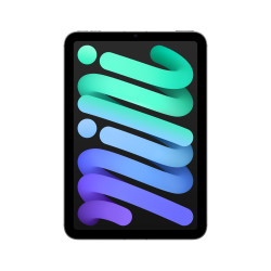iPad mini WiFi Cell 512GB Gris sidéral | ShopDutyFree.fr