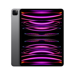 🤑 Soldes iPad Pro 12.9 Wifi Cellular 512GB Gris Reconditionné 